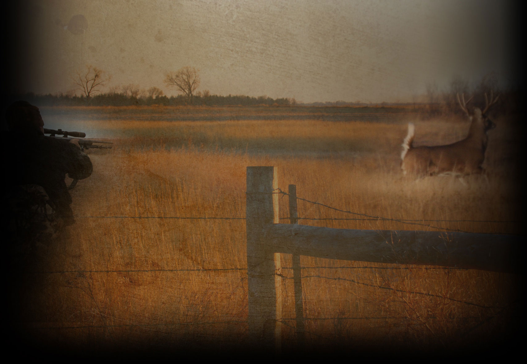 Dixie Quail — photo 3